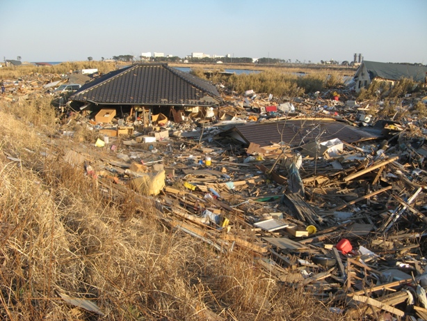 ���� ������������