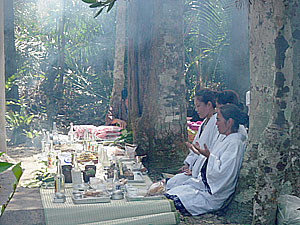        () (:  .).  // Praying priestesses during MAIYUKU ritual (September 2003) at  TUYUNPYA:ZU UTAKI, Irabu Island, Miyako Islands (Photo Evgeny BAKSHEEV)
