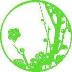ikebana